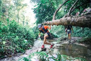 BIB: 
                            <button type="button" onclick="openModal(25434932)" class="btn btn-primary btn-sm float-right btn-popup" data-toggle="modal" data-target=".modal-high-quality">
                        <i class="fas fa-shopping-cart"></i> Add to Cart
                    </button>
                                            <button type="button" onclick="isThisMe(25434932, true)" class="btn btn-success btn-sm float-right btn-popup btn-isme hidden" data-toggle="tooltip" data-placement="bottom" title="นี่คือรูปของคุณใช่ไหม คลิกที่นี่เพื่อเอาเข้าอัลบั้ม">
                        <i class="fas fa-plus"></i> Add to album
                    </button>
                    <button type="button" onclick="isThisMe(25434932, false)" class="btn btn-warning btn-sm float-right btn-popup btn-isnotme hidden">
                        <i class="fas fa-ban"></i> Remove from album
                    </button>